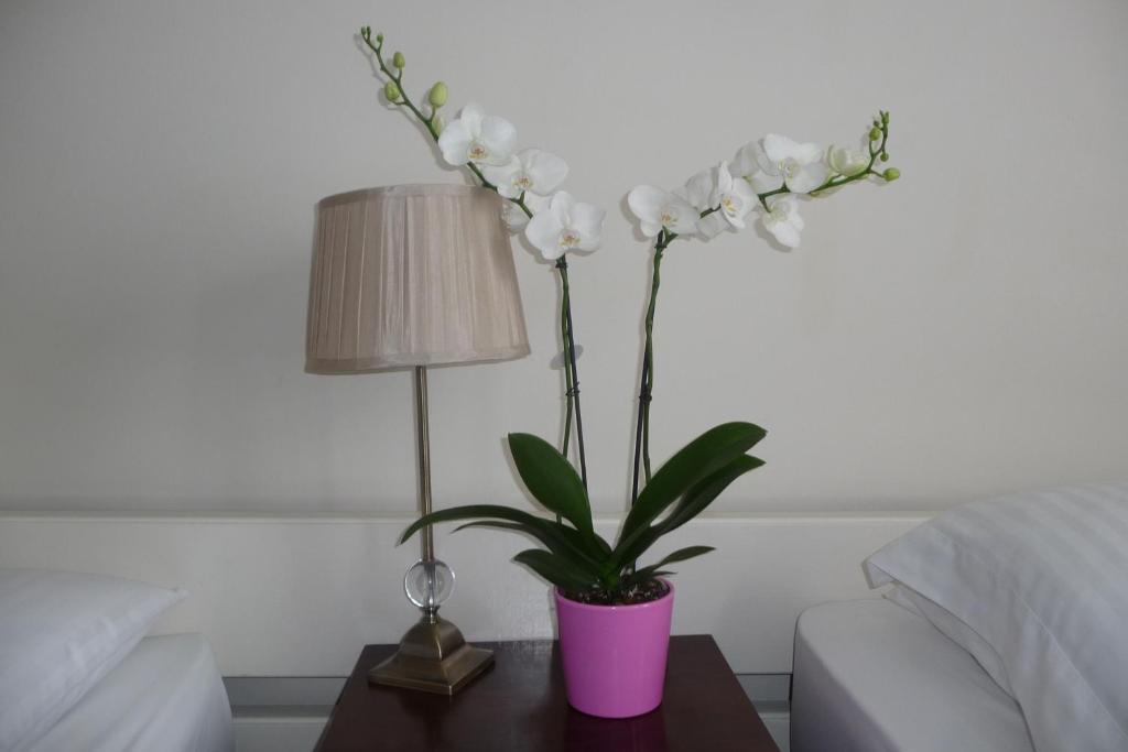 Killarney House Western Road Hotel Cork Bilik gambar